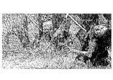 Akira Poster - The Seven Samurai - Fight In The Rain Scene Akira Kurosawa Print - Johnnyinthe56 - Unframed