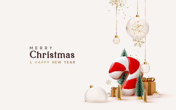 We Wish You A Very Merry Christmas & A Happy New Year 2025....